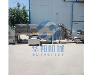 核桃仁去皮機 優質核桃仁去皮設備