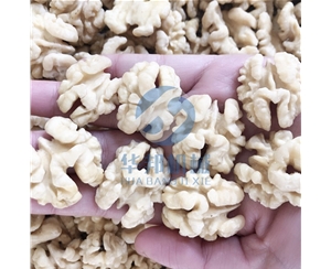 核桃仁 花生米去皮機