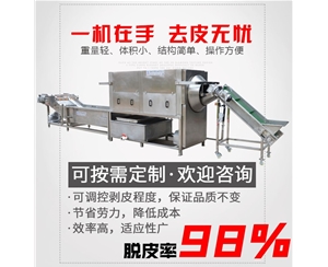 核桃仁去皮流水線 【物理】核桃仁去皮機