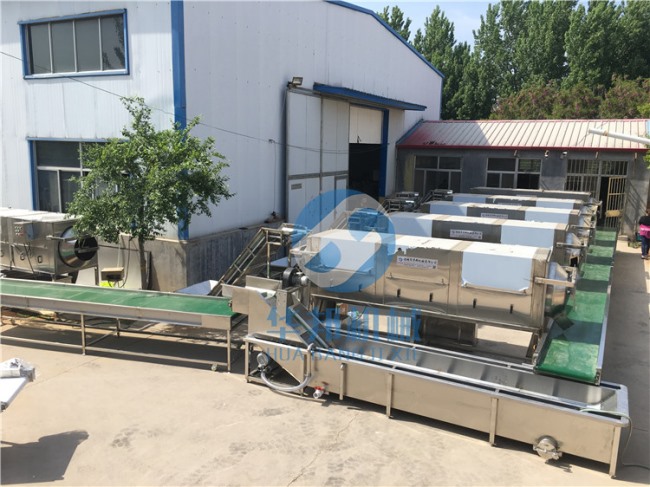 大型核桃仁去皮機 全自動核桃仁脫衣機