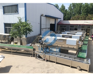 大型核桃仁去皮機(jī) 全自動(dòng)核桃仁脫衣機(jī)