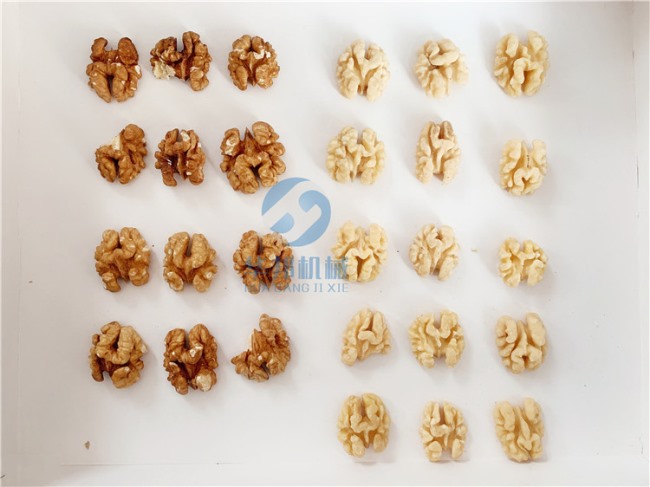 自動款 核桃仁去皮機