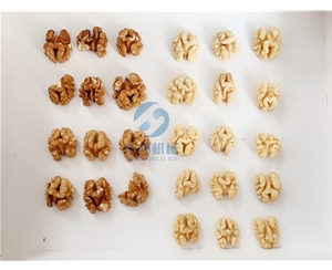 自動款 核桃仁去皮機