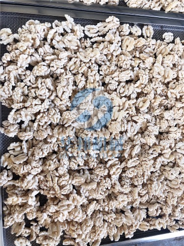 多型號(hào) 核桃仁去皮機(jī)