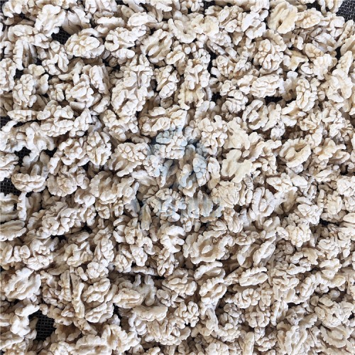 省250人 核桃仁去皮機