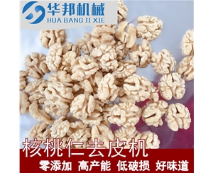 核桃仁去皮機 機械代替手工 核桃仁去皮設備