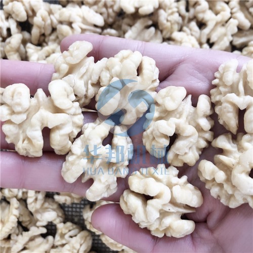 現貨 核桃仁去皮機