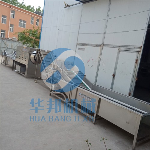 核桃仁脫衣生產線 核桃仁去皮機