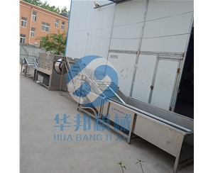 核桃仁脫衣生產線 核桃仁去皮機