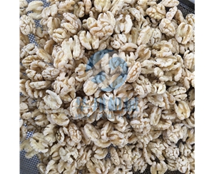 純物理核桃仁去皮機 華邦機械