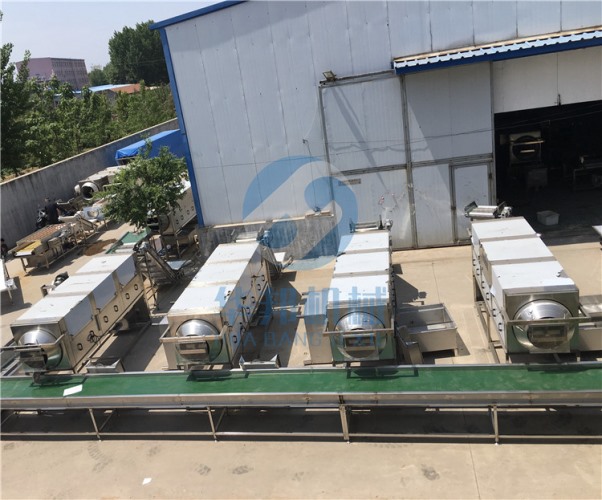 【華邦機械】核桃仁去皮機 核桃仁脫衣機 專利產品