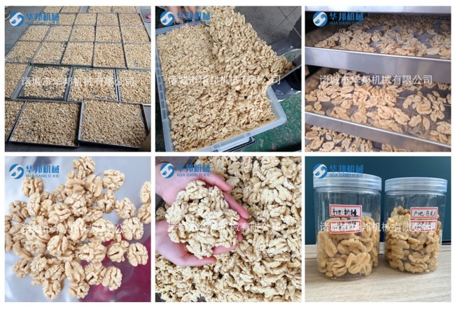 核桃仁烘干機(jī) 核桃仁烘干工藝 三只松鼠供貨標(biāo)準(zhǔn)