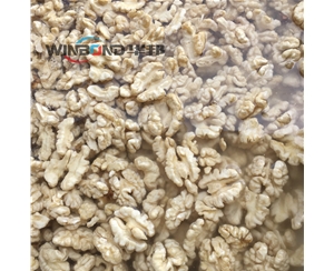 華邦核桃仁去衣機械 現場布局核桃仁去皮機 質保