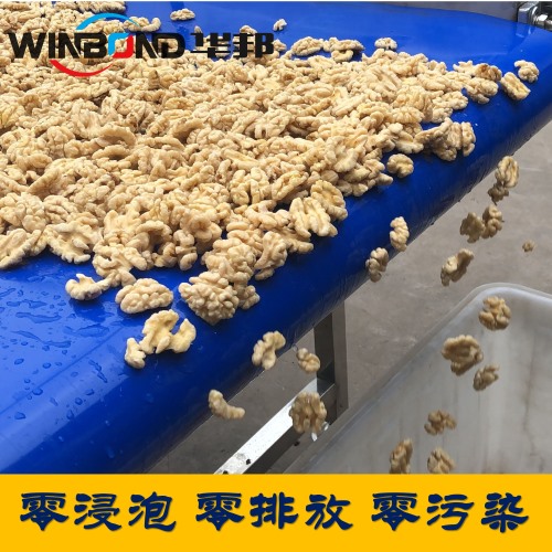 全自動核桃仁去皮機 華邦現場策劃 一鍵操作