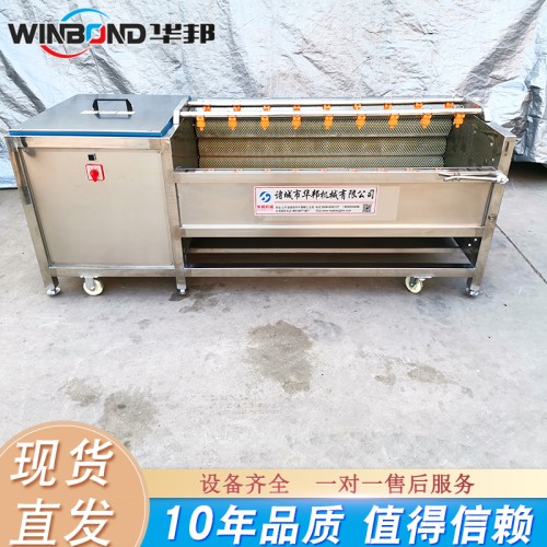 華邦生產胡蘿卜清洗機 蘿卜清洗設備型號齊全 十年品質