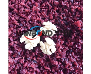 物理核桃仁去皮機 華邦高壓噴淋脫皮機