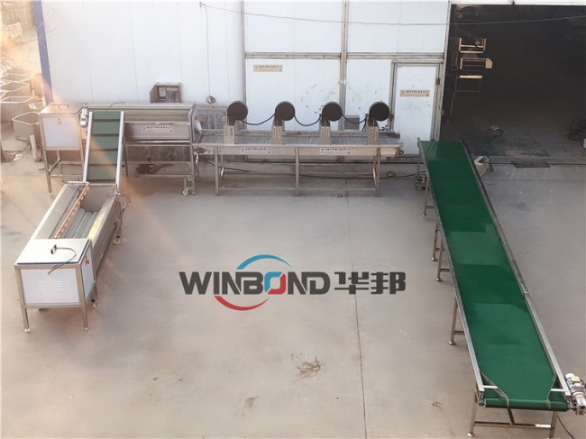 高壓噴淋胡蘿卜清洗機 蘿卜清洗生產線