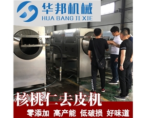 送工藝核桃仁脫皮機 純物理去皮核桃仁設備