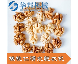 工廠現貨 華邦核桃仁去衣機 核桃仁加工成套設備