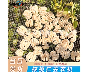 0防腐劑核桃仁去皮機 0添加人工色素 物理核桃仁脫皮機 
