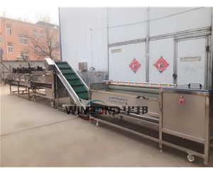 現場試機 紅薯清洗機 紅薯清洗風干流水線