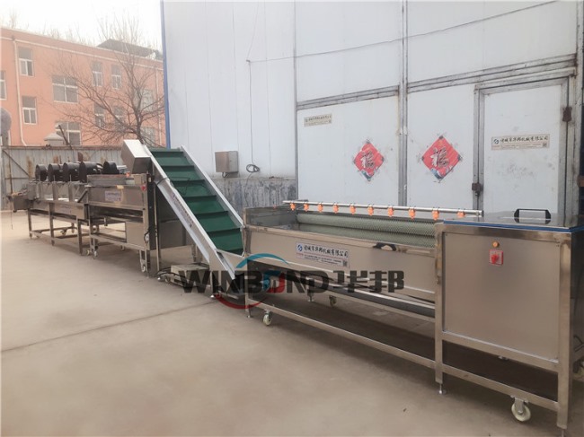 現場試機 紅薯清洗機 紅薯清洗風干流水線