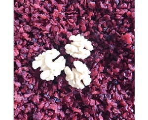 送技術核桃仁去衣機 保山核桃仁去皮機 節能降耗