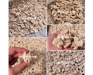 核桃仁去皮機規格齊全 華邦定制 核桃仁去皮流水線