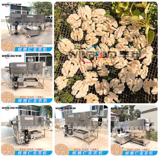 現貨直發核桃仁去衣機 全自動 去衣機設備